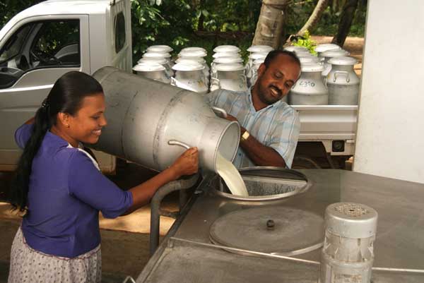 Nandini Milk to be expensive, KMF Ready for rate hike