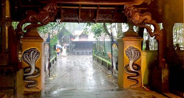 Nagaraja temple in Mannar shack near Haripad protects devotees with 30 thousand snakes
