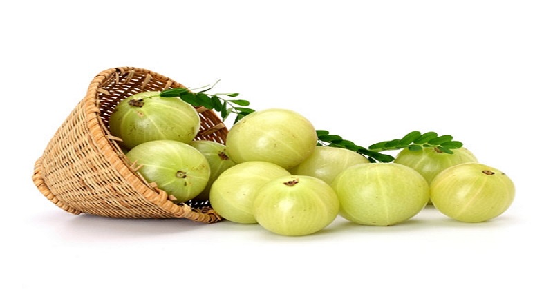Health Tips: Consume 'Amla' Daily If You Are Suffering From Fatty Liver