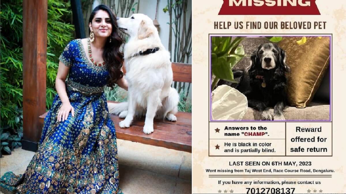 Actress Ramya's pet dog missing: If you find it, you will get a bumper prize