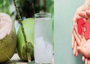 Coconut water for kidneys : Fresh water is an easy solution for kidney stone problem