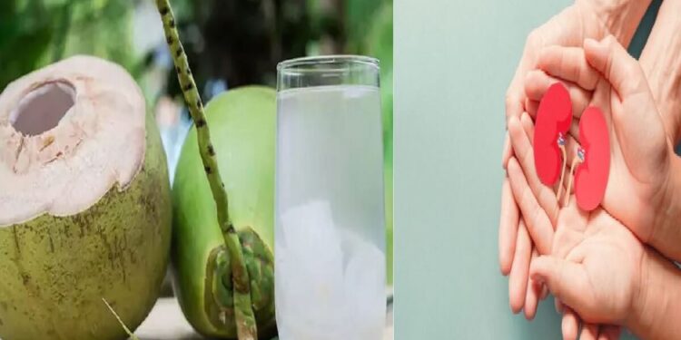 Coconut water for kidneys : Fresh water is an easy solution for kidney stone problem