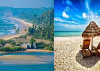 Famous Coastal Places in India Visit these 5 beaches to savor the scenic beauty of Indias coast