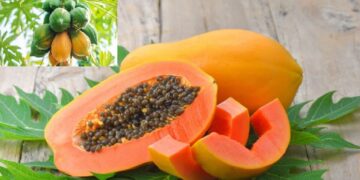 Foods avoid after consuming papaya: You should know what not to eat after eating papaya fruit