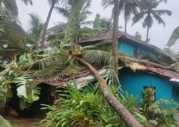 Heavy rains cause huge losses Huge loss due to heavy wind and rain in Kundapur