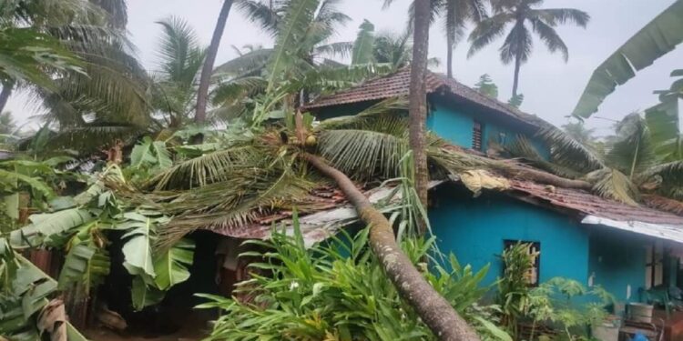 Heavy rains cause huge losses : Huge loss due to heavy wind and rain in Kundapur
