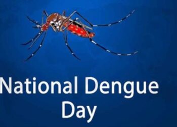 National Dengue Day 2023: How to prevent the mosquito-borne disease? Here is complete information