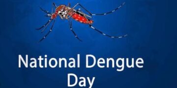 National Dengue Day 2023 How to prevent the mosquito borne disease Here is complete information