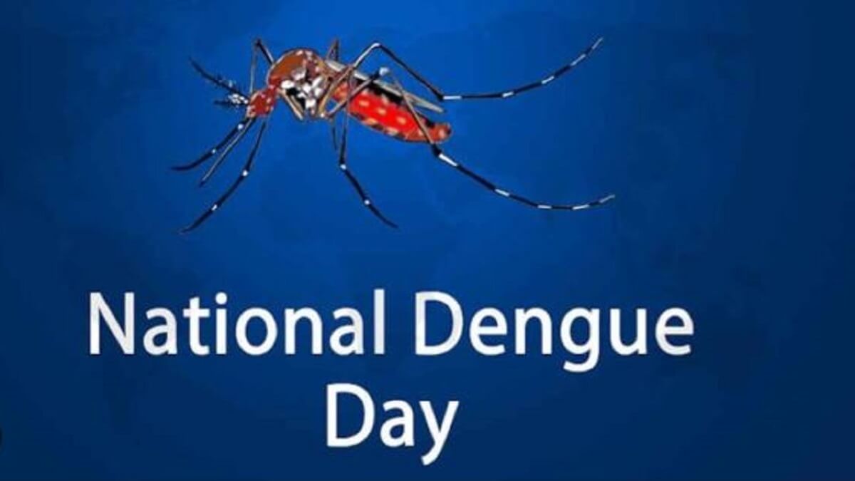 National Dengue Day 2023: How to prevent the mosquito-borne disease? Here is complete information
