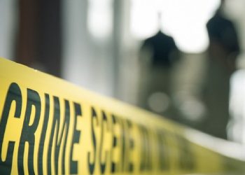 32 Year Old Woman Killed Body Chopped Into Pieces In Mumbai Partner Arrested