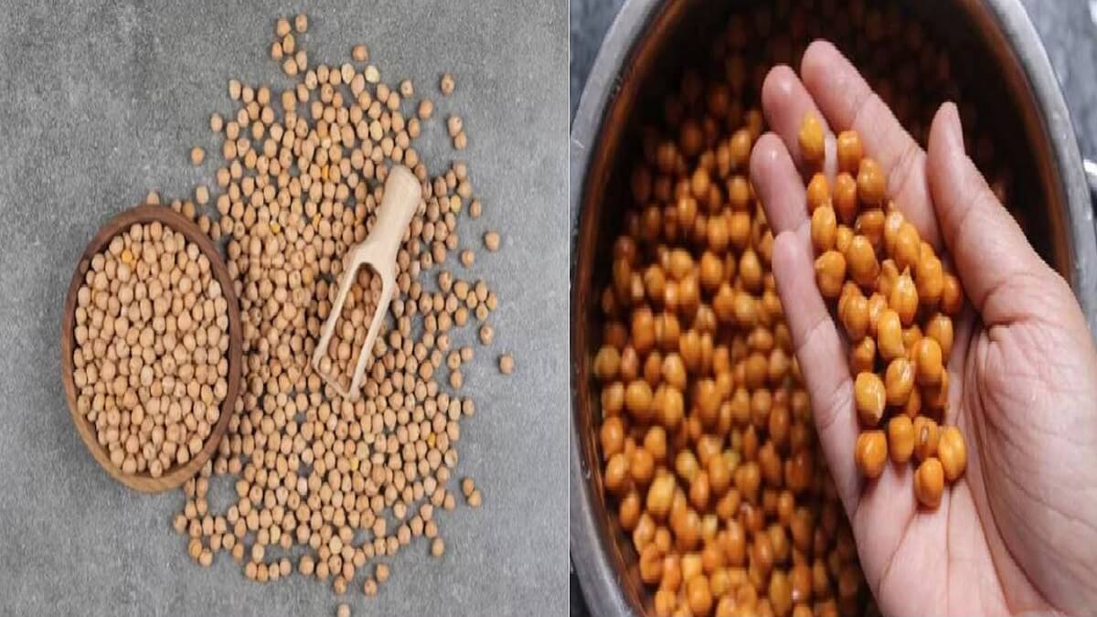 Chickpea Health Benefits: Do you know how beneficial red chickpea is for our body?