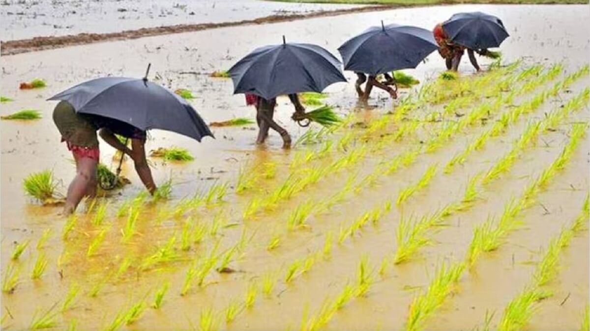 PM Fasal Yojana : Udupi : Crop insurance rejected : Objection invited
