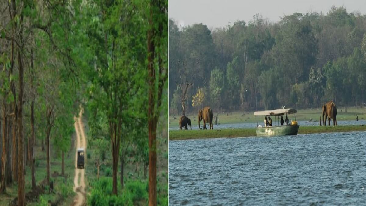 Karnataka Trip Tips: Ever been to Kabini? If you haven't gone, don't miss it