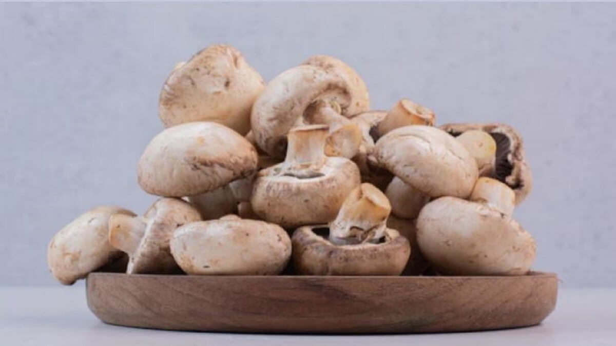 Mushroom Side Effects : Stay away from mushroom for these five reasons