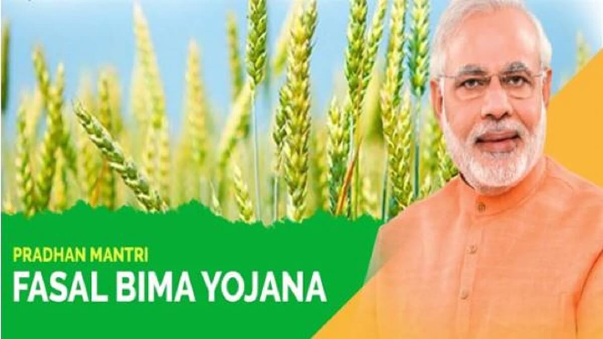 PM Fasal Yojana: Attention of farmers: Has the crop been damaged by rain? Apply for compensation