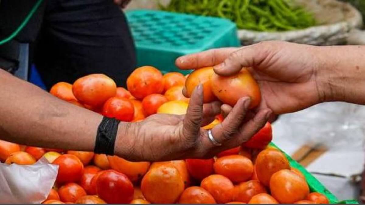 Tomato Price: 3.5 lakhs Rs. Theft of worth tomatoes: Couple arrested