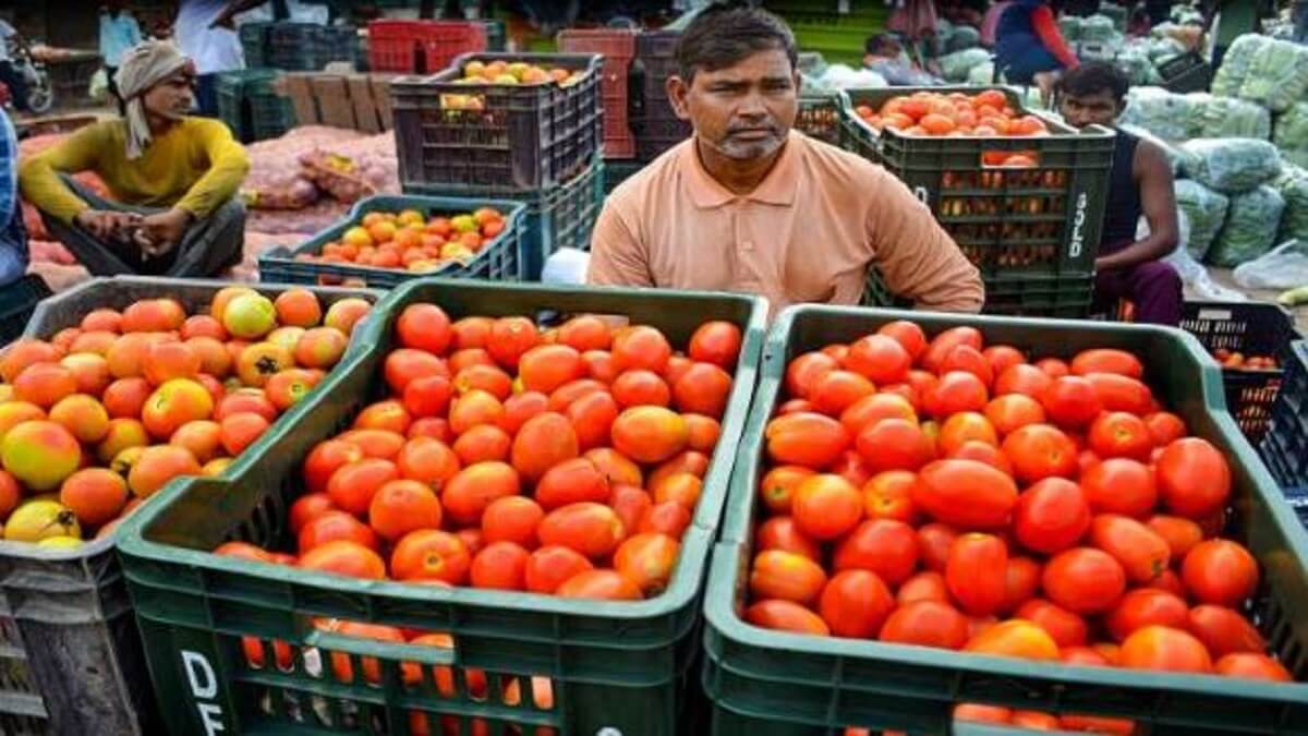 Tomato price: Vegetable price skyrocketed amid heavy rains: Here is the price of tomato in different states