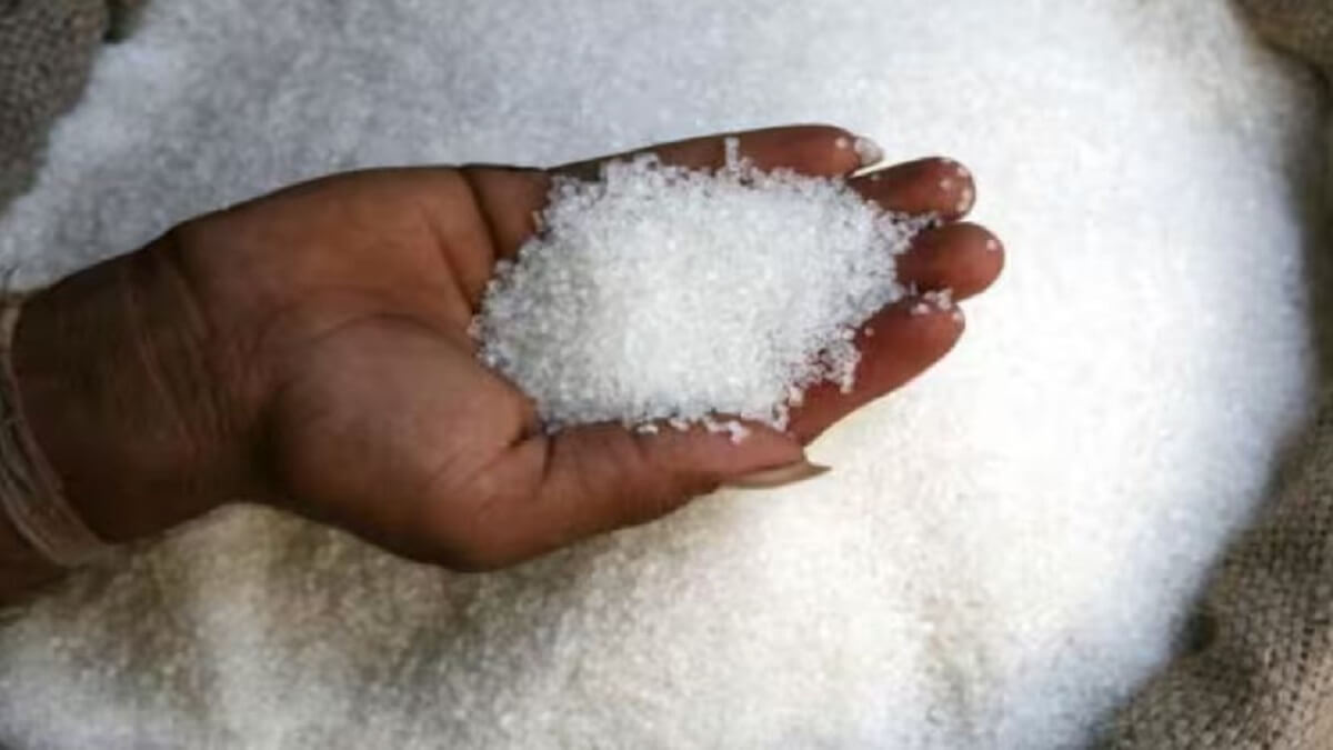 India Ban Sugar Export: For the first time in 7 years, India has imposed a ban on sugar export: What is the reason?