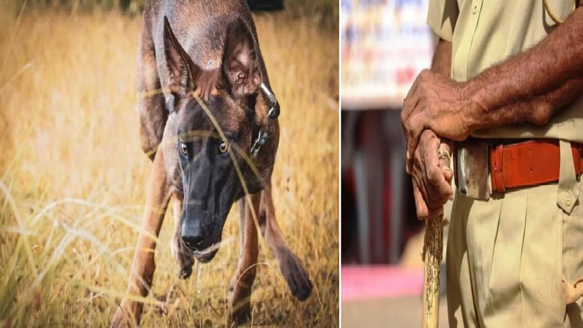 Karnataka Police Dog Squad : Karnataka police dog that helped solve a gruesome murder case