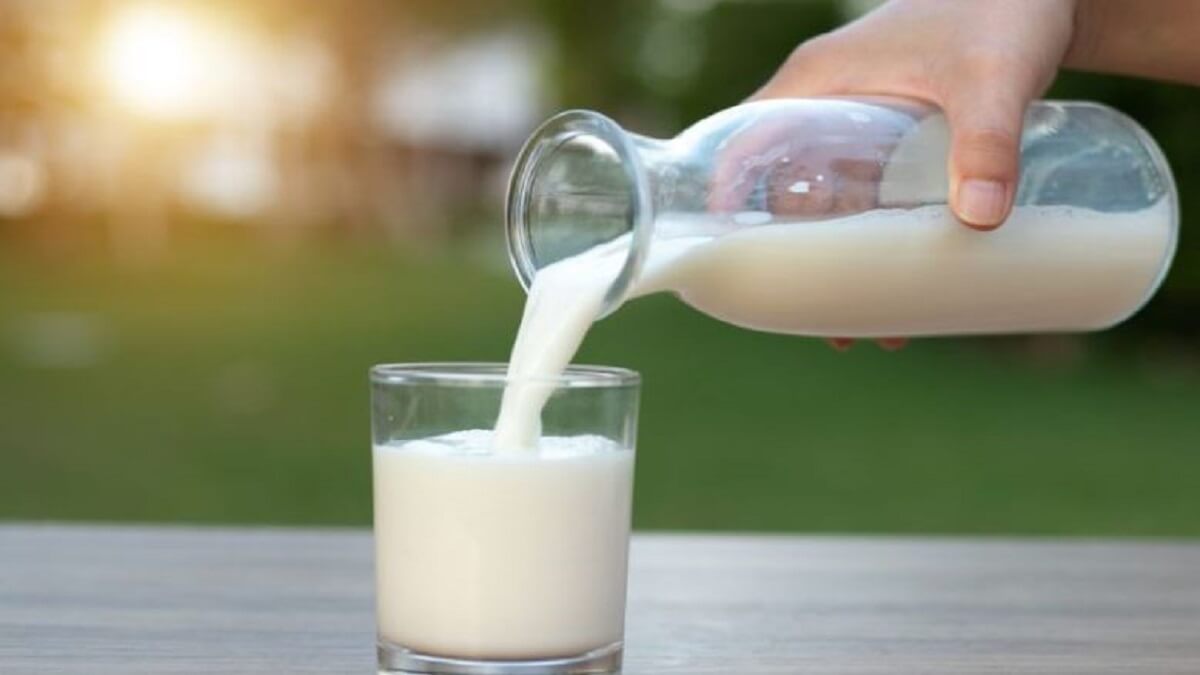 Milk Prices : Milk prices are likely to decrease after the rainy season