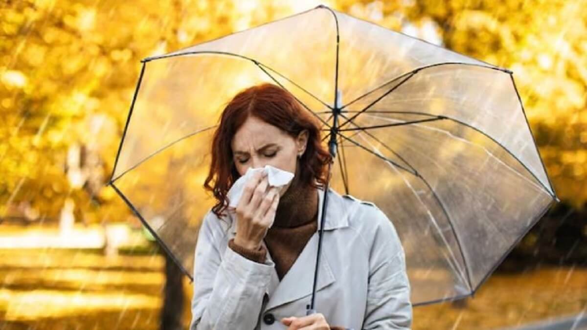 Monsoon Illness : These 6 Ayurvedic herbs are panacea for monsoon infections