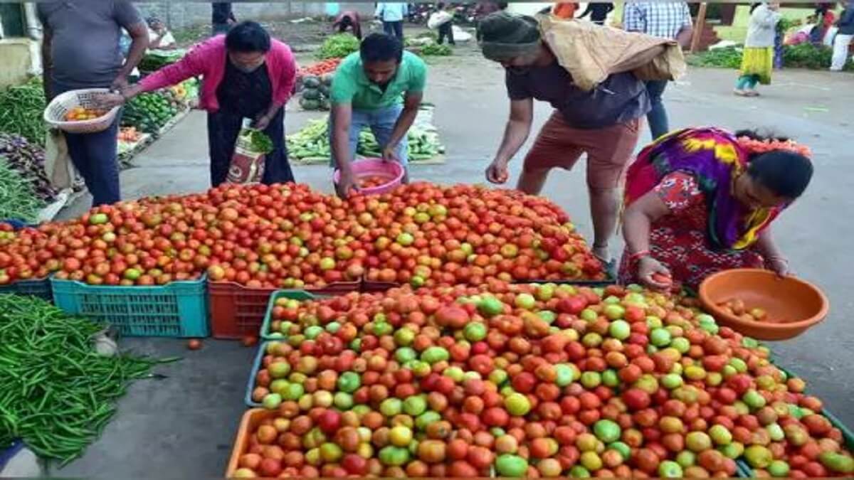 Tomato price down: Good news for customers: From today, tomato will be Rs 40 per kg.