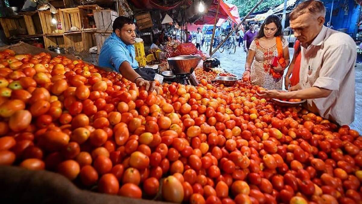 Tomato prices Today : Sale of tomato at low price from today