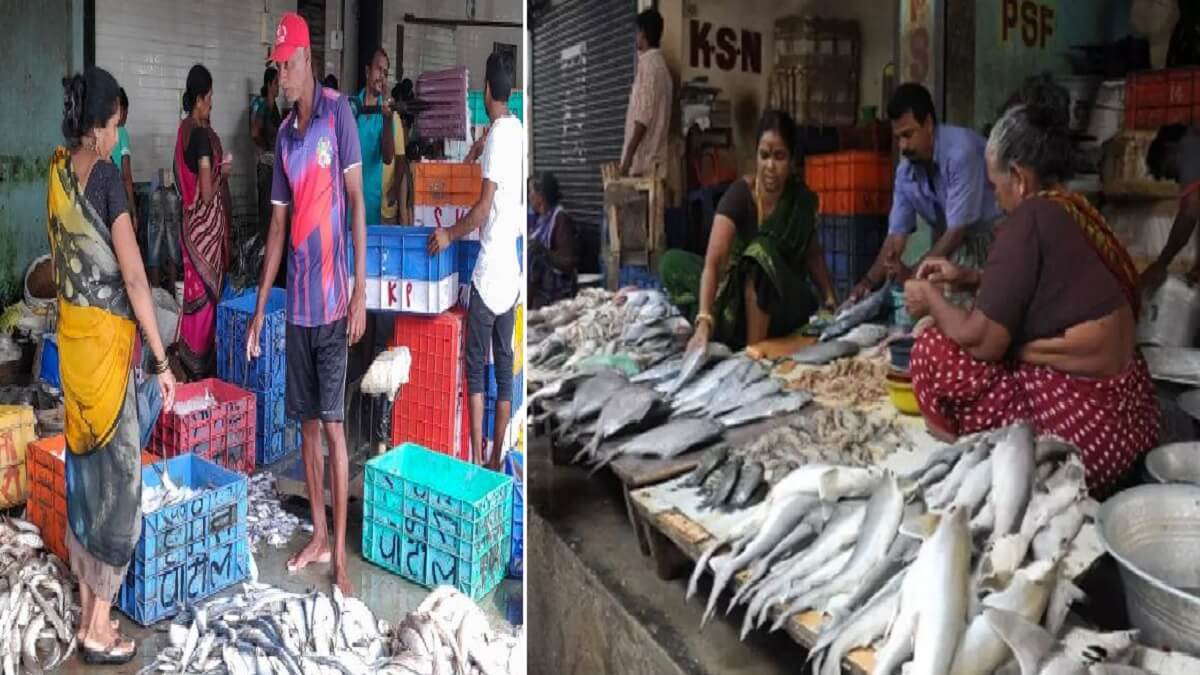 Udupi News : Udupi : Application invitation for various schemes of Fisheries Department