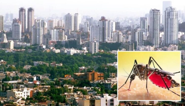 16 days 1700 dengue cases Dengue fever outbreak in Bengaluru