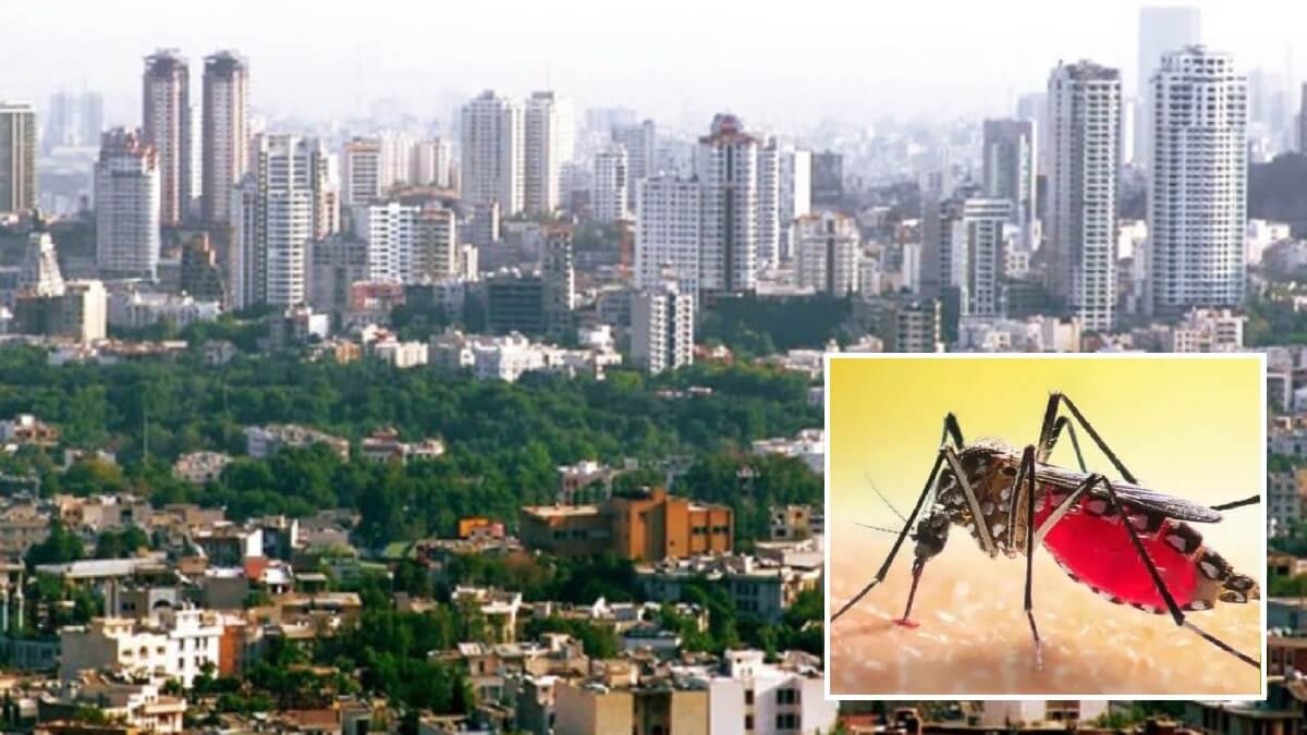 16 days 1700 dengue cases Dengue fever outbreak in Bengaluru
