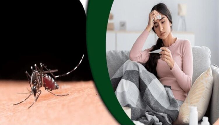 Dengue cases: 3,200 dengue cases in 2 months in Bangalore: Health Minister