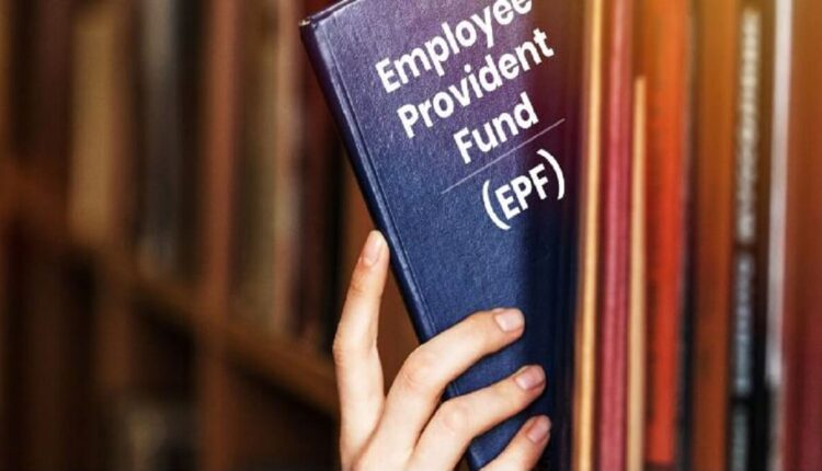 EPFO New Updates : Sweet News for PF Employees : Big Updates on Interest Money