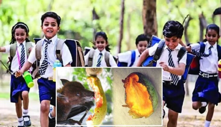 Kerala Nipah Virus Holiday announced for schools and colleges till September 24