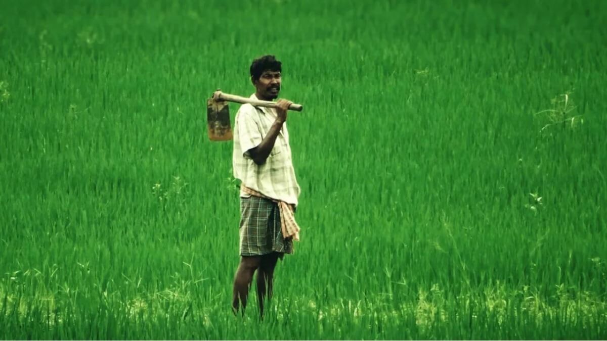 Kisan Credit Card Yojana: Govt gives Rs 3 lakh without mortgage: Apply before last date