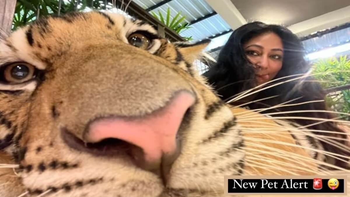 New Pet Alert Actor Darshan Thoogudeep's wife Vijayalakshmi gave a tong to whom 