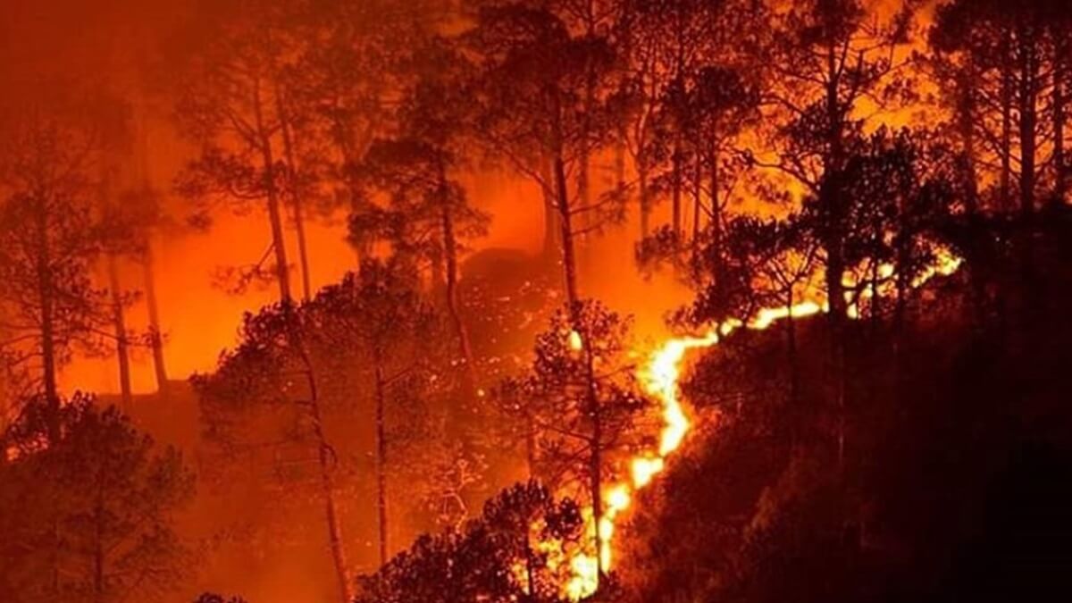 forest fire in world famous Mullayanagiri Peak in Chikkamagaluru