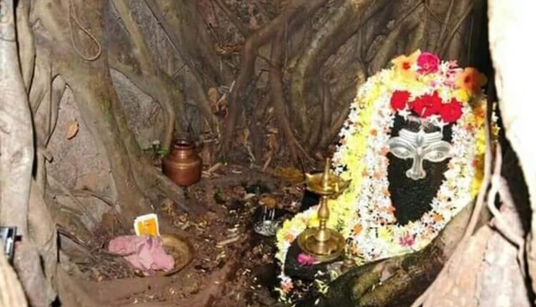 Basrur Tuluveshwar Temple is nestled in the shade of a banyan tree – nature itself is a temple to Shiva here