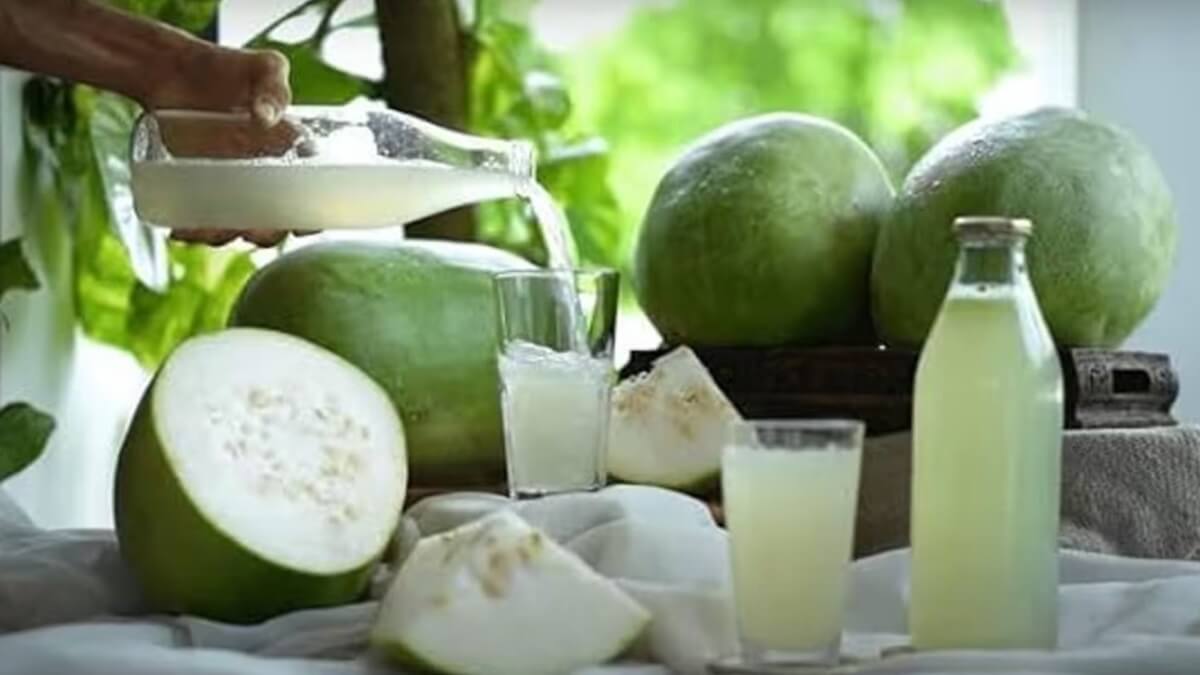 Panacea for All Diseases ash gourd in - Eating this way will not cause cancer