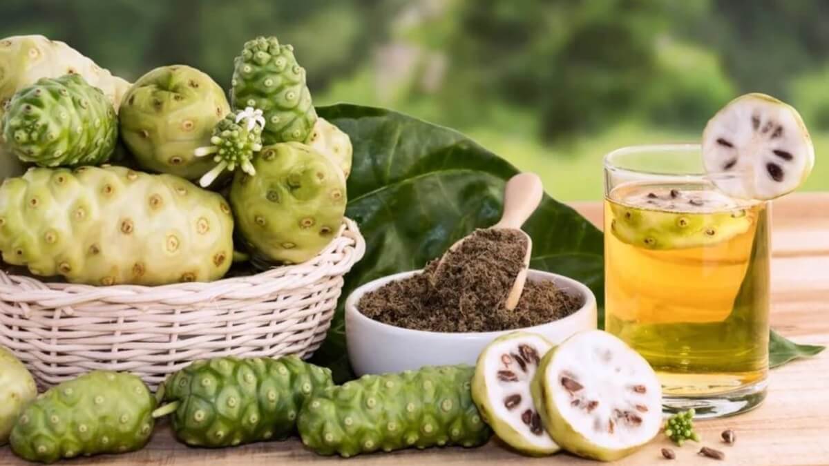 Noni Juice Drinking Is Dangerous For Health Does It Really Control Diabetes What does Dr Raju Krishnamurthy say 
