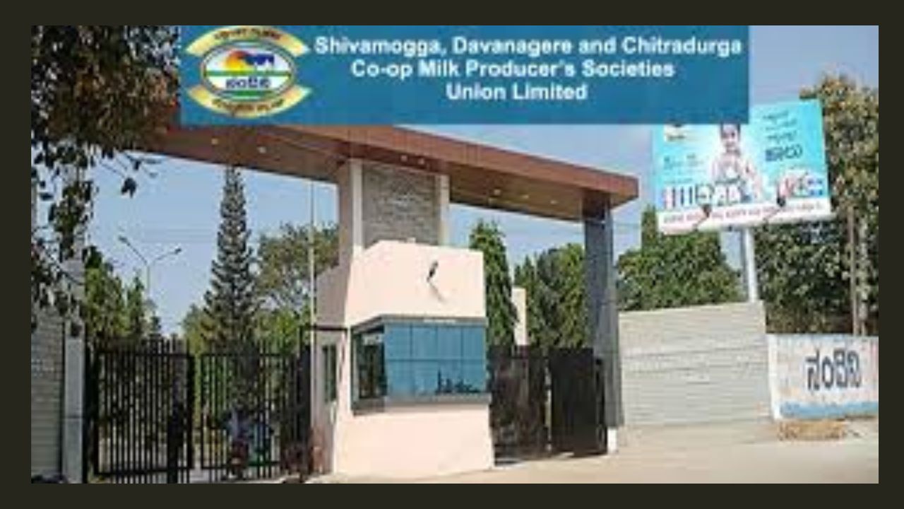 Shimul recruitment 2025