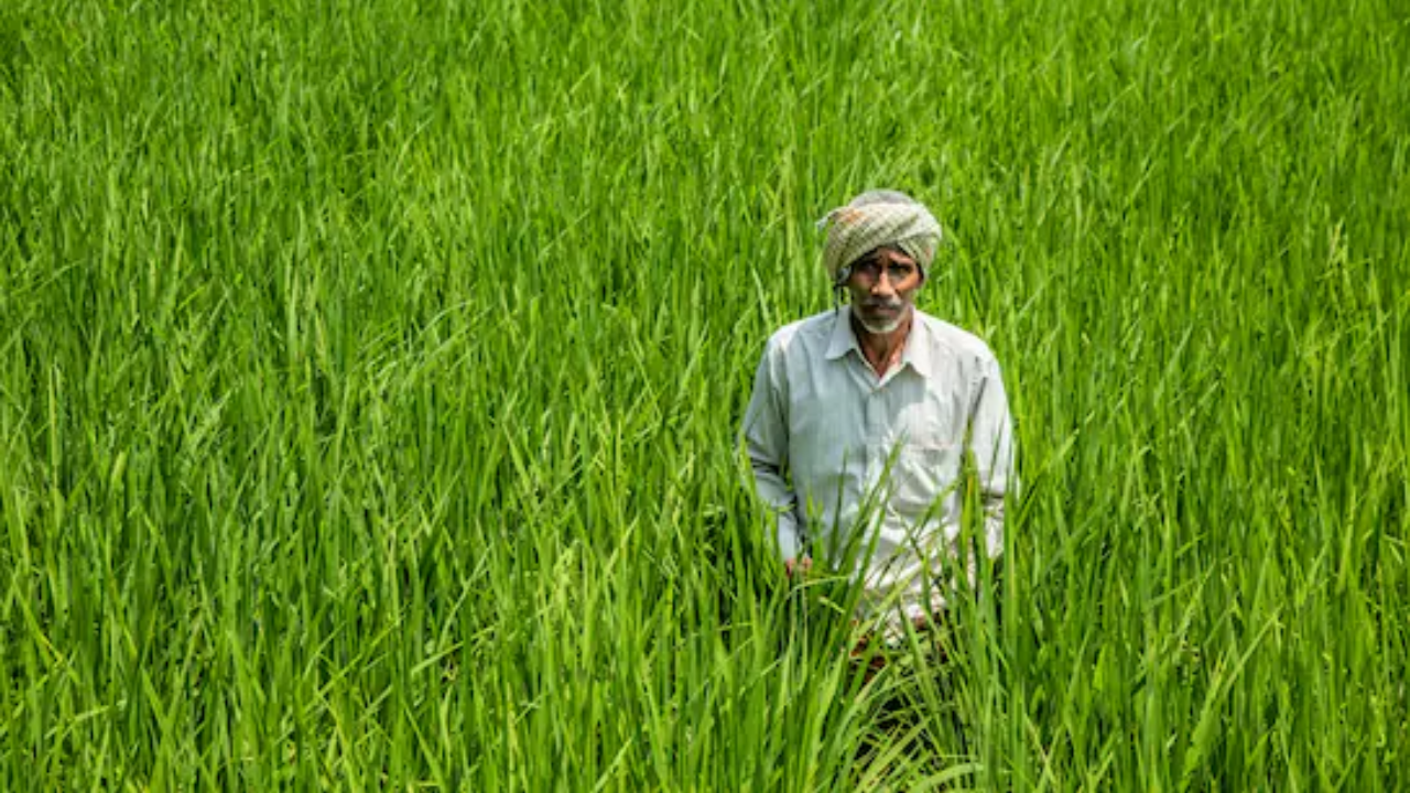 ರೈತರಿಗೆ ನೂತನ ಬೆಂಬಲ ಯೋಜನೆಗಳು