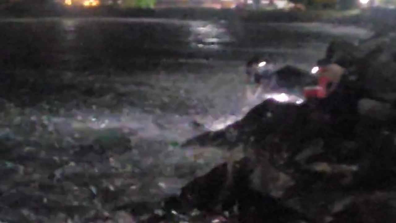 Fish harvest in Udupi today: Lakhs of fish washed ashore