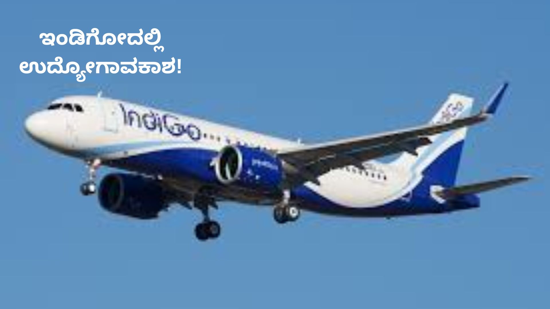 IndiGo Hiring:
