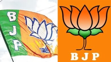 BJP National President Election