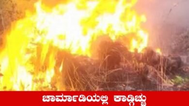 Charmadi Ghat cathes fire