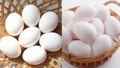 nati chicken egg price