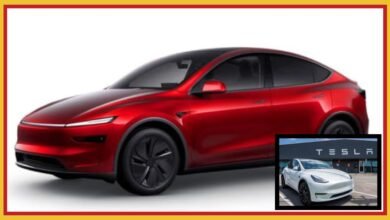 Tesla India Sale in 2025 how much unit sold elon musk s model y car