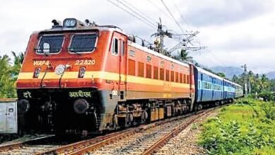 Train For Sankranti Celebration