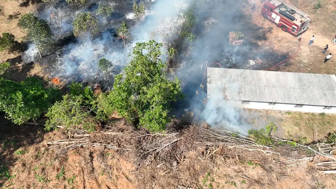 brahmavara Fire breaks out in Neelavar, pineapple orchard burnt to ashes