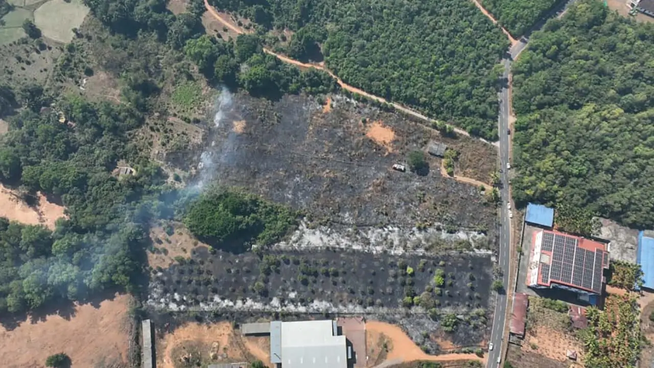 brahmavara Fire breaks out in Neelavar, pineapple orchard burnt to ashes